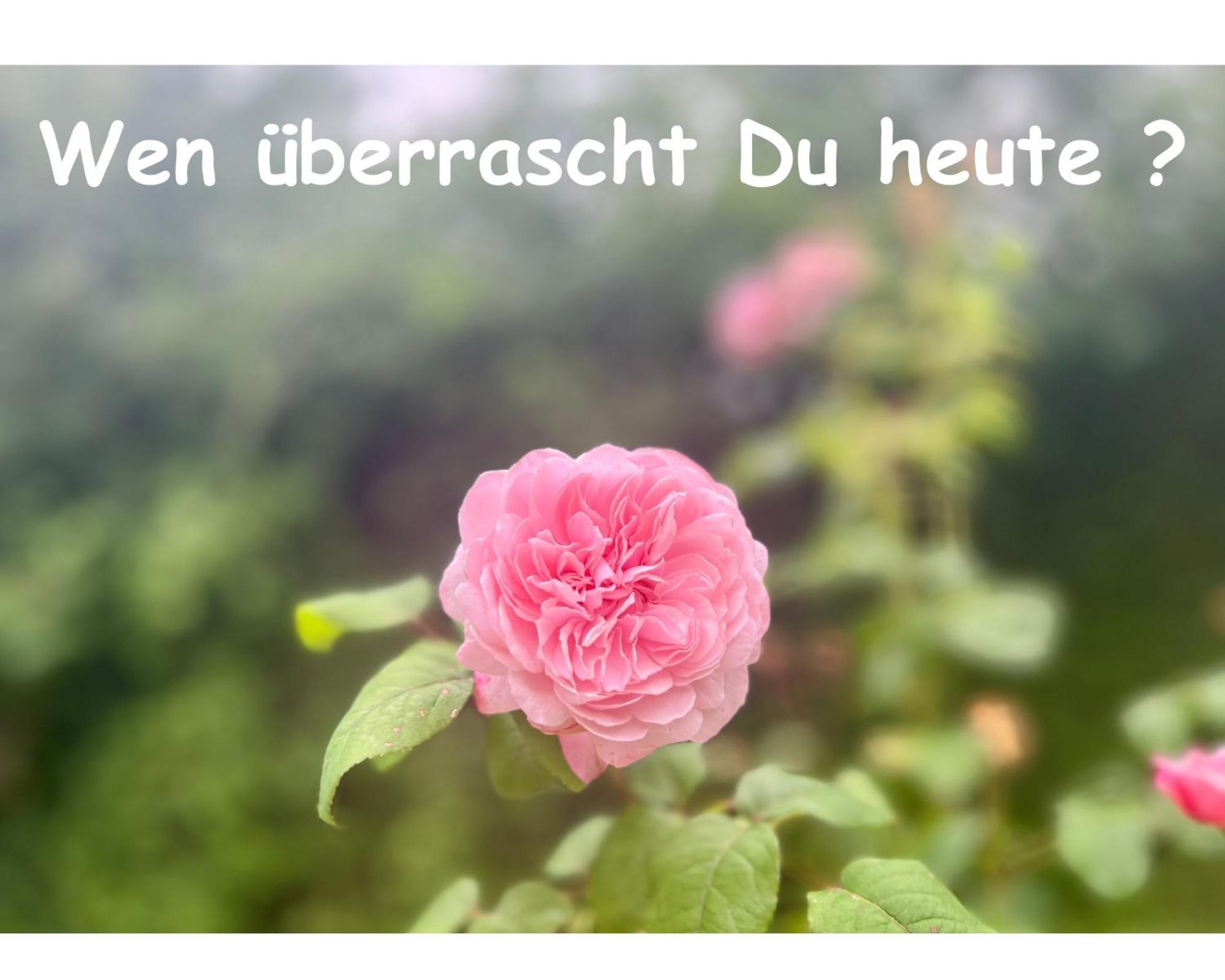 Romantik Pur - Schlafen Unter Dem Sternenhimmel Luxuszelt